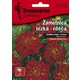 Seme za sadnju 5 kesica cvece Kadifa niska crvena Tagetes patula 5438